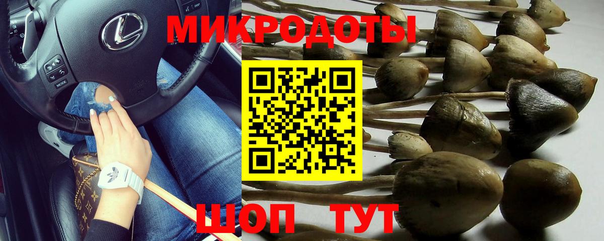 Псилоцибиновые грибы Magic Shrooms  Вход с VPN  Ефремов  Галлюциногенные грибы Psilocybe 